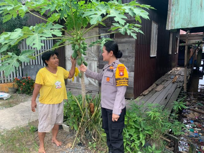 
					Giat Monitoring Dan Pendampingan Pemanfaatan Lahan Pekerangan Dalam Rangka Implementasi Asta Cita Presiden Republik Indonesia Dalam Bidang Ketahanan Pangan Oleh Polsek kapuas Hilir Polres Kapuas