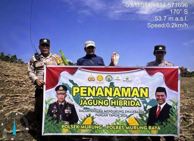 
					Bhabinkamtibmas Polsek Murung Dukung Penuh Warga Tanam Jagung Hibrida