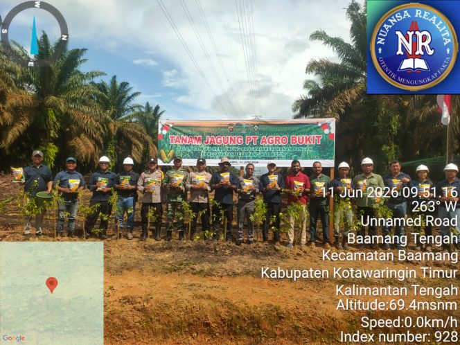 
					Dukung Ketahanan Pangan, PT Agro Bukit Tanam 4 Hektar Jagung di Telawang