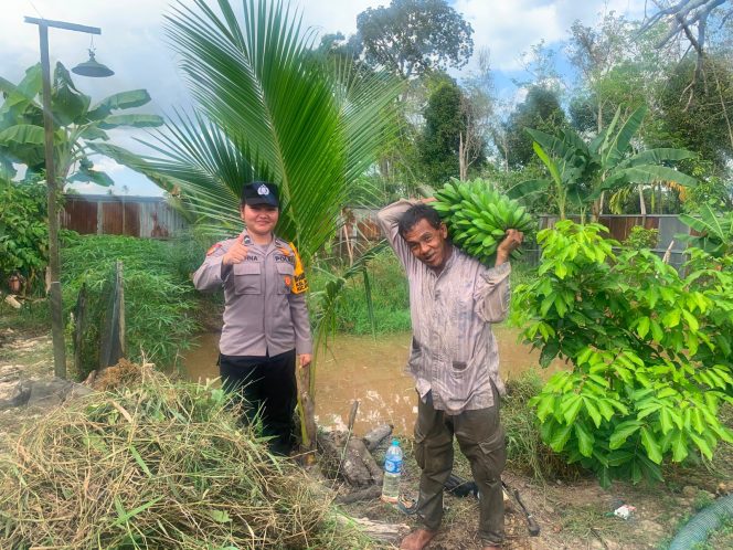 
					Giat Monitoring Dan Pendampingan Pemanfaatan Lahan Pekerangan Dalam Rangka Implementasi Asta Cita Presiden Republik Indonesia Dalam Bidang Ketahanan Pangan Oleh Polsek kapuas Hilir Polres Kapuas