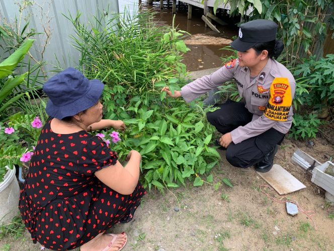 
					Giat Monitoring Dan Pendampingan Pemanfaatan Lahan Pekerangan Dalam Rangka Implementasi Asta Cita Presiden Republik Indonesia Dalam Bidang Ketahanan Pangan Oleh Polsek kapuas Hilir Polres Kapuas