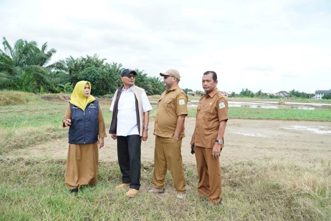 
					Pemkab Aceh Tamiang Kebut Percapatan Rehabilitasi dan Rekonstruksi Lahan Pertanian