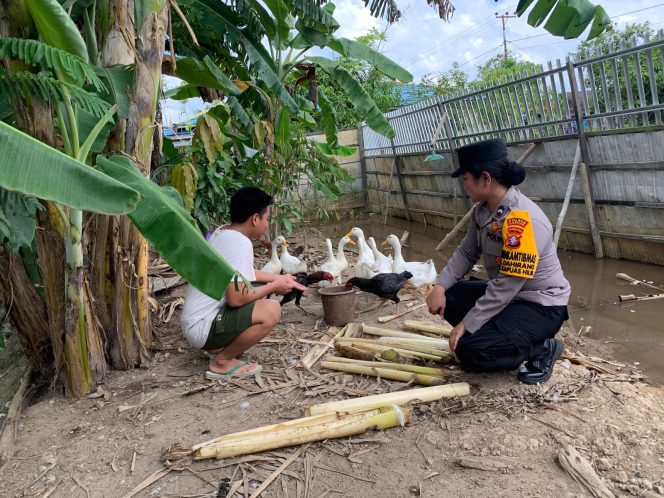 
					Giat Monitoring Dan Pendampingan Pemanfaatan Lahan Pekerangan Dalam Rangka Implementasi Asta Cita Presiden Republik Indonesia Dalam Bidang Ketahanan Pangan Oleh Polsek kapuas Hilir Polres Kapuas