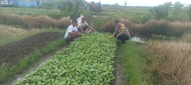 
					Polsek Basarang Dukung Ketahanan Pangan Untuk Program Makan Bergizi