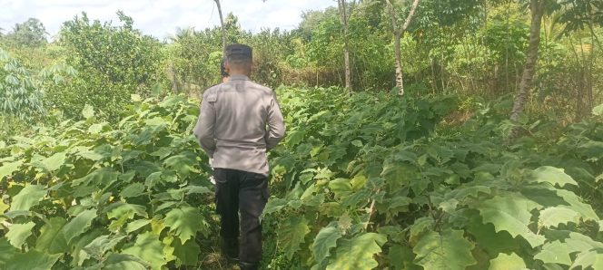 
					Polsek Basarang Dukung Ketahanan Pangan Untuk Program Makan Bergizi