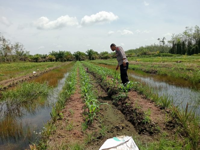 
					Polsek Basarang Dukung Ketahanan Pangan Untuk Program Makan Bergizi