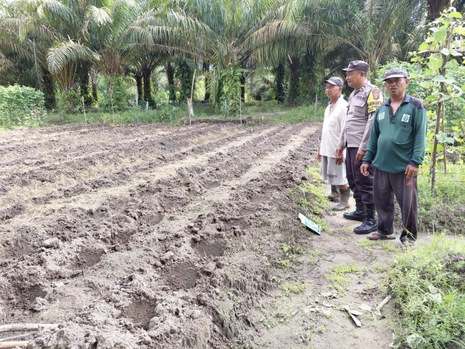 
					Bhabinkamtibmas Kumai Hulu Ajak Petani Tanam Jagung Hibrida Dukung Program Asta Cita