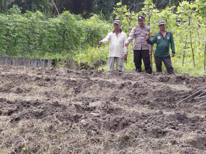 
					Bhabinkamtibmas Kumai Hulu Ajak Petani Tanam Jagung Hibrida Dukung Program Asta Cita Situasi ama tertib