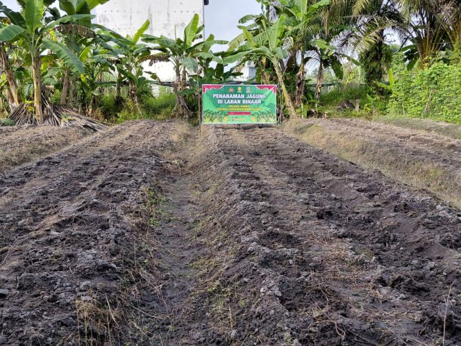 
					‎Polsek Pangkalan Banteng Laksanakan Panen Raya Jagung di SMKN 1, Wujud Dukungan Ketahanan Pangan