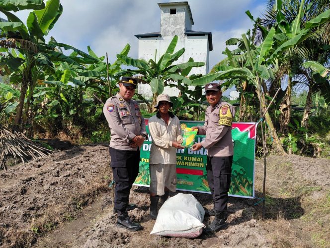 
					Bhabinkamtibmas  Dampingi Warga Tanam Jagung Hibrida, Wujud Dukungan Polri pada Ketahanan Pangan