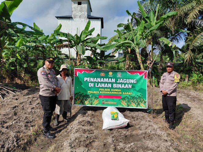 
					Bhabinkamtibmas Kumai Hulu Dampingi Warga Tanam Jagung Hibrida, Wujud Dukungan Polri pada Ketahanan Pangan Situasi aman kondusif
