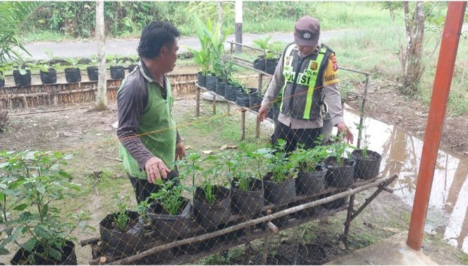 
					Dukung Swasembada, Polsek Kapuas Barat Cek Ketahanan Pangan Sektor Pertanian di Kelurahan Mandomai