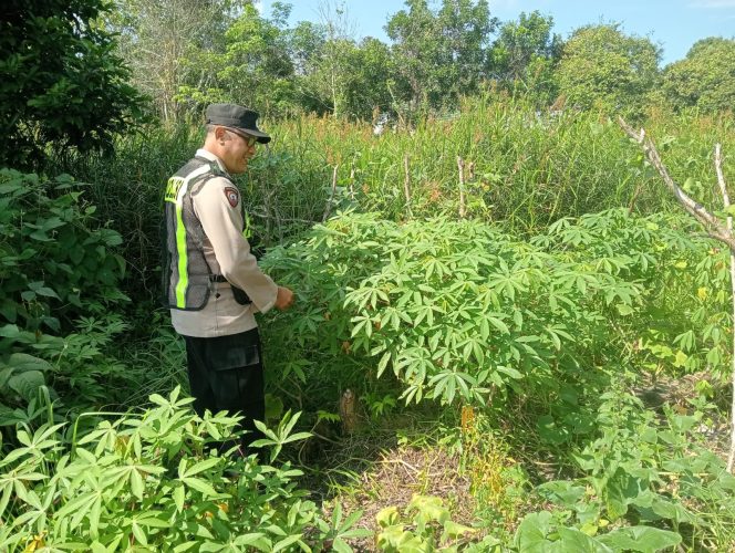 
					Polsek Kapuas Barat Dukung Program Ketahanan Pangan Melalui Kegiatan Pemanfaatan Lahan Produktif