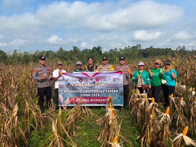 
					Polsek Rungan dan Masyarakat Petani Desa Bunut Sukses Panen Raya 8 Ton Jagung Hibrida