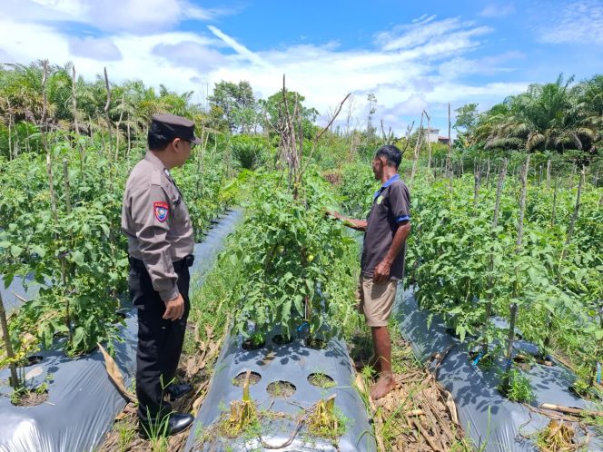 
					Polsek Kahayan Tengah Dorong Warga Manfaatkan Pekarangan untuk Pangan Bergizi
