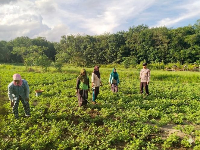 
					Dukung Ketahanan Pangan, Polsek Pandih Batu Ajak Warga Manfaatkan Pekarangan