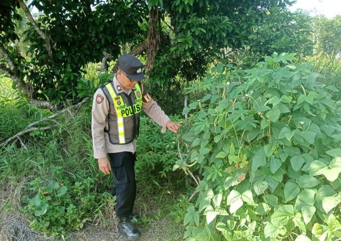 
					Polsek Kapuas Barat Dukung Program Pemerinta Tentang Ketahanan Pangan