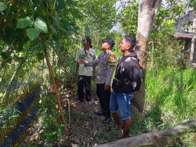 
					Dukung Ketahanan Pangan, Bhabinkamtibmas Polsek Kapuas Barat Cek Budidaya Kacang Panjang di Desa Sei Kayu