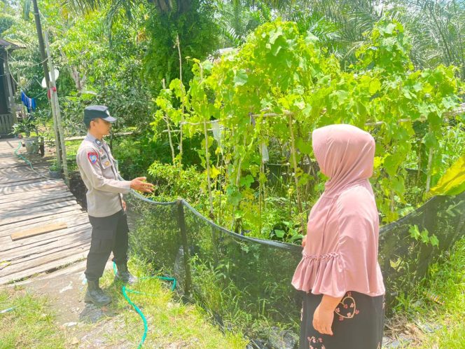 
					Dukung Ketahanan Pangan, Polsek Sebangau Kuala Sambangi Petani dan Serap Aspirasi Lapangan