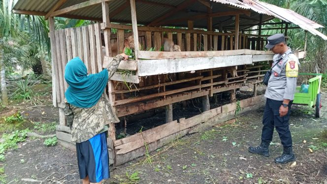 
					Dukung Program Makan Bergizi Gratis, Polsek Pandih Batu Gerakkan Program Pekarangan Pangan Bergizi