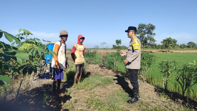 
					Bhabinkamtibmas Food Estate Polres Pulang Pisau Cek Hasil Panen dan Serap Aspirasi Petani di Belanti Siam