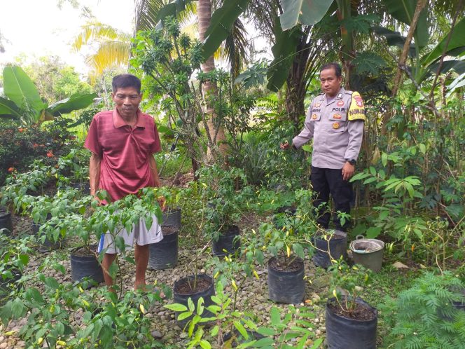 
					Ketahanan Pangan Desa Sei Kayu: Bhabinkamtibmas Polsek Kapuas Barat Dampingi Budidaya Cabai Pedas di RT 007