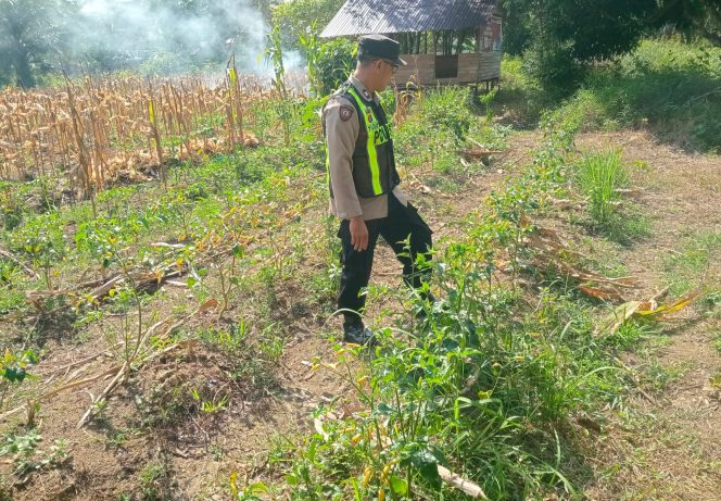 
					Polsek Kapuas Barat Tinjau Lahan PertanianDi Desa Binaanya, Guna Dukung Ketahanan Pangan