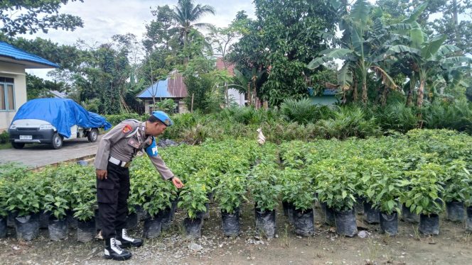 
					Dukung Ketahanan Pangan, Polsek Kapuas Barat Cek Budidaya Cabai Pedas di Mandomai