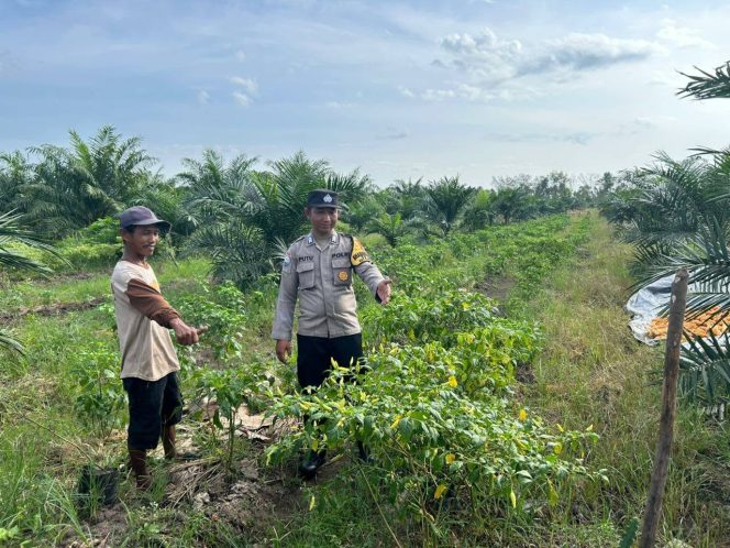 
					Dukung Ketahanan Pangan, Bhabinkamtibmas Polsek Kahayan Hilir Ajak Warga Manfaatkan Lahan Kosong
