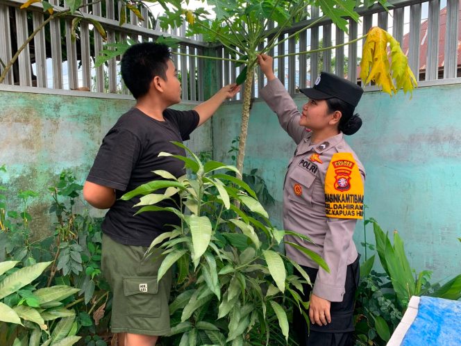 
					Giat Monitoring Dan Pendampingan Pemanfaatan Lahan Pekerangan Dalam Rangka Implementasi Asta Cita Presiden Republik Indonesia Dalam Bidang Ketahanan Pangan Oleh Polsek kapuas Hilir Polres Kapuas