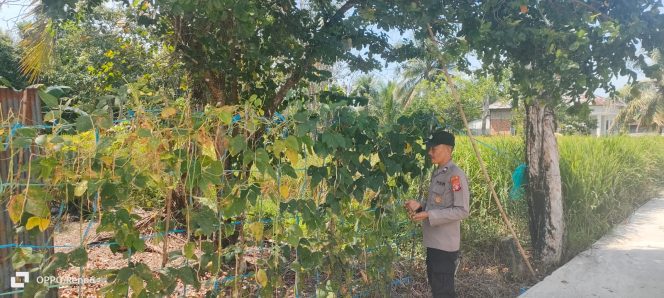 
					Giat Monitoring Dan Pendampingan Pemanfaatan Lahan Pekerangan Dalam Rangka Implementasi Asta Cita Presiden Republik Indonesia Dalam Bidang Ketahanan Pangan Oleh Polsek kapuas Hilir Polres Kapuas