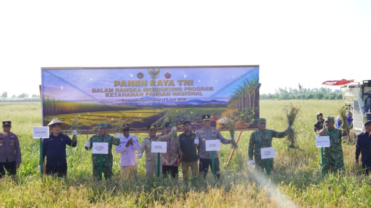 Dukung Ketahanan Pangan Nasional, Pangdam XXII/Tbg Bersama Forkopimda Kalteng Gelar Panen Raya Padi di Kotim