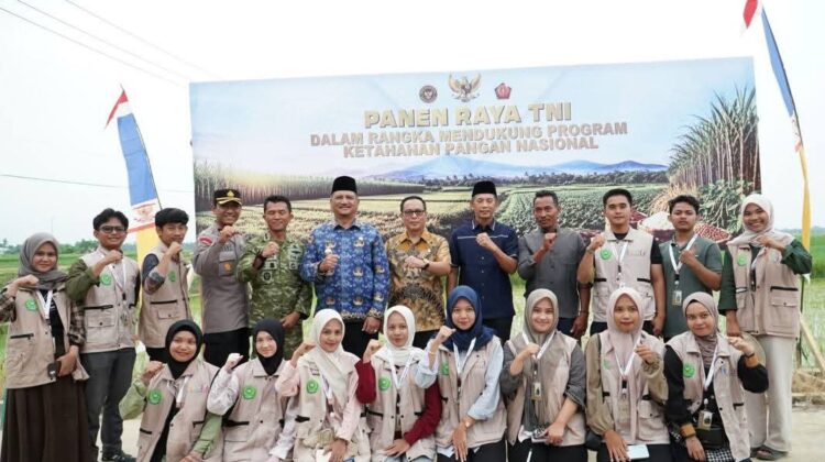 Bupati Aceh Tamiang Panen Raya Pascabencana, Targetkan 1.201 Ton Gabah untuk Ketahanan Pangan