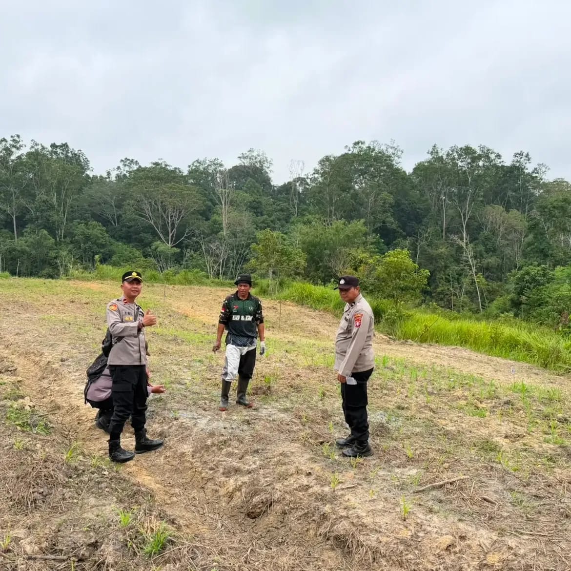 Kapolsek Laung Tuhup Cek Langsung Pertumbuhan Jagung Hibrida di Kel. Laung Tuhup
