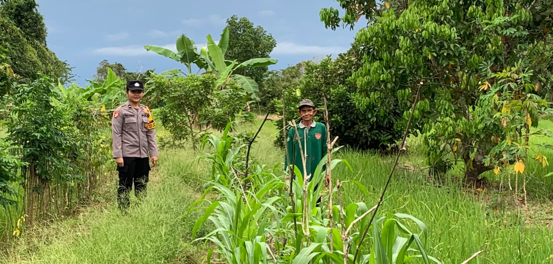 Giat Monitoring Dan Pendampingan Pemanfaatan Lahan Pekerangan Dalam Rangka Implementasi Asta Cita Presiden Republik Indonesia Dalam Bidang Ketahanan Pangan Oleh Polsek kapuas Hilir Polres Kapuas