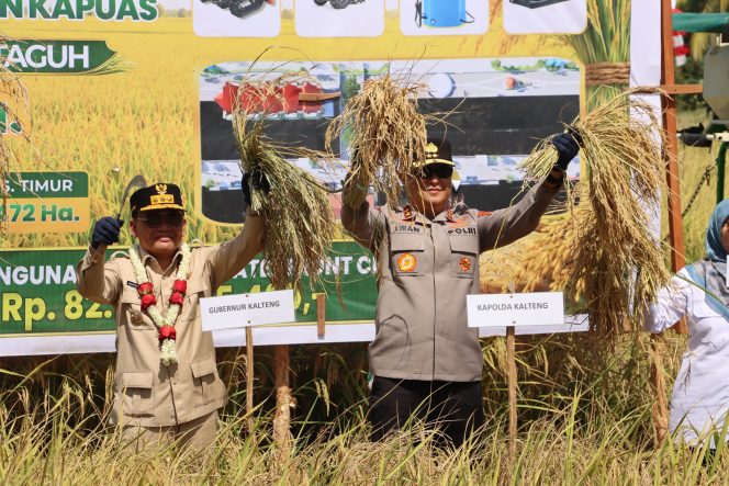 
					Kapolda Kalteng Hadiri Panen Raya Padi di Kapuas, Wujudkan Sinergi Menuju Ketahanan Pangan Nasional