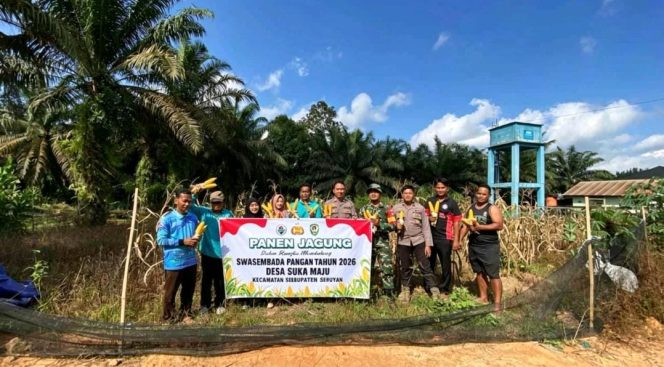 
					PANEN JAGUNG PROGRAM 1 DESA 1 HEKTAR DESA SUKA MAJU BERJALAN LANCAR