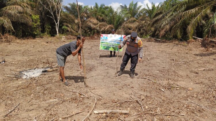 POLSEK DANAU SEMBULUH DUKUNG PROGRAM SWASEMBADA PANGAN MELALUI PENANAMAN JAGUNG TUMPANG SARI
