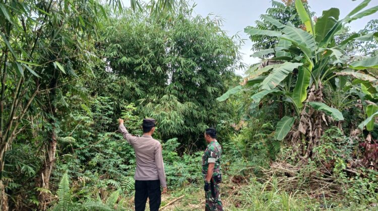 Sinergi Tanpa Batas, TNI-Polri dan Warga Manuhing Cegah Karhutla