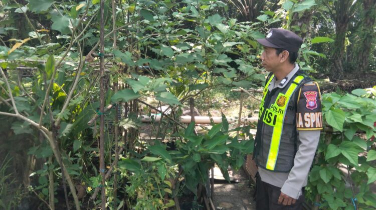 Polsek Kapuas Barat Dorong Pekarangan Jadi Sumber Pangan, Dukung Ketahanan Pangan dari Tingkat Desa