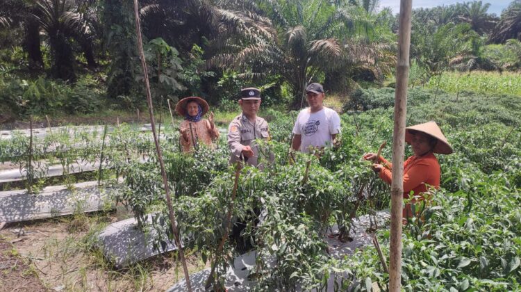 Bhabinkamtibmas Polsek Kotawaringin Lama Sambangi Petani di Desa Suka Makmur