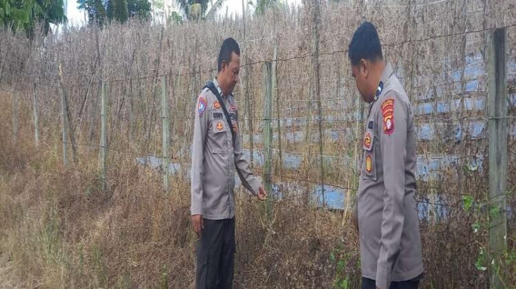 Satbinmas Polres Gunung Mas Edukasi Warga Jaga Kamtibmas, Sosialisasikan Call Center 110 dan Larangan Karhutla