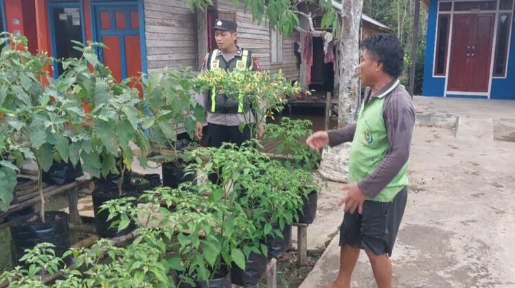 Dukung Program Ketahanan Pangan Nasional, Polsek Kapuas Barat Cek Lahan Pertanian di Kelurahan Mandomai
