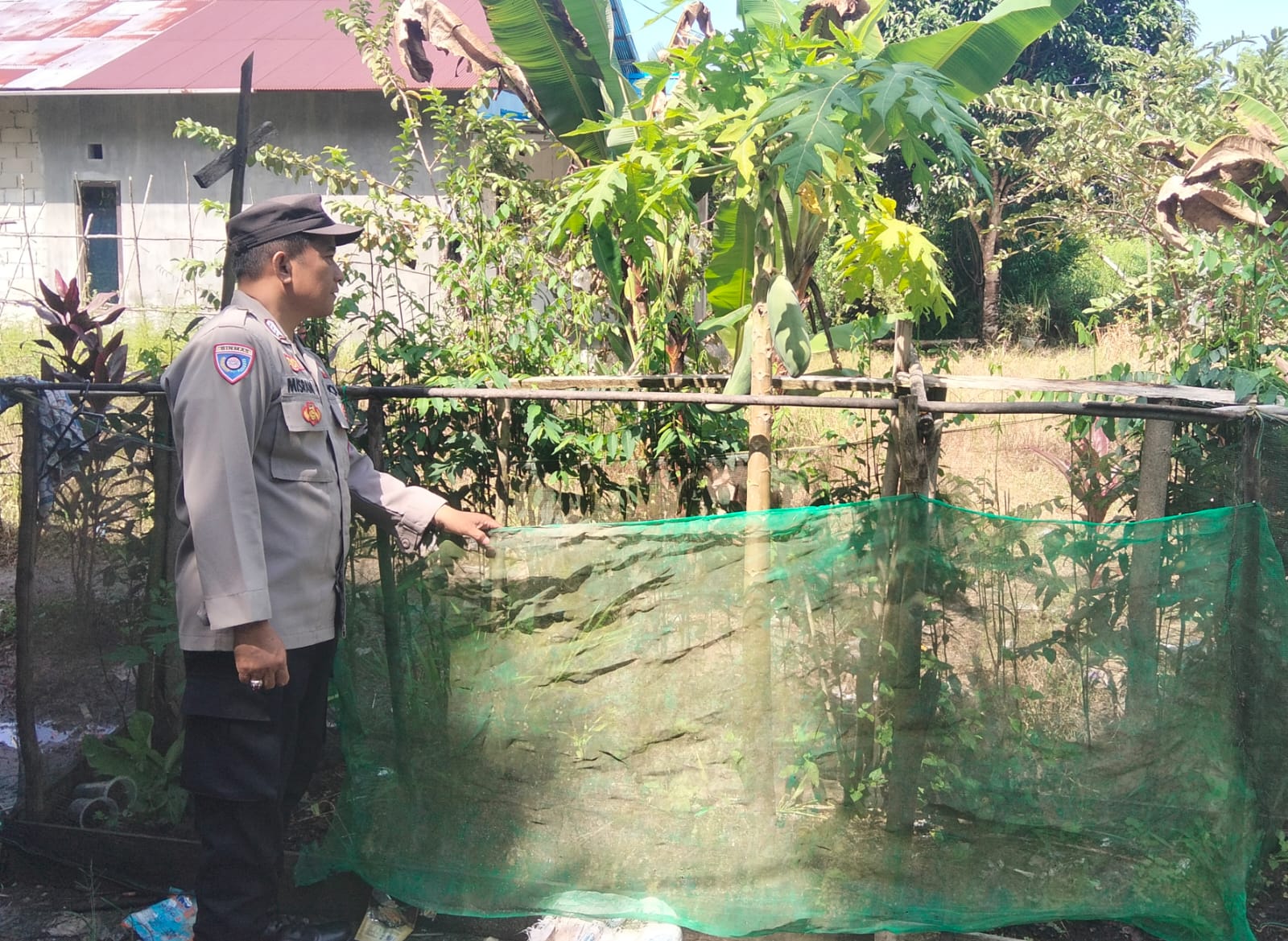 Polsek Kapuas Barat Dorong Warga Manfaatkan Pekarangan Jadi Lahan Produktif untuk Perkuat Ketahanan Pangan