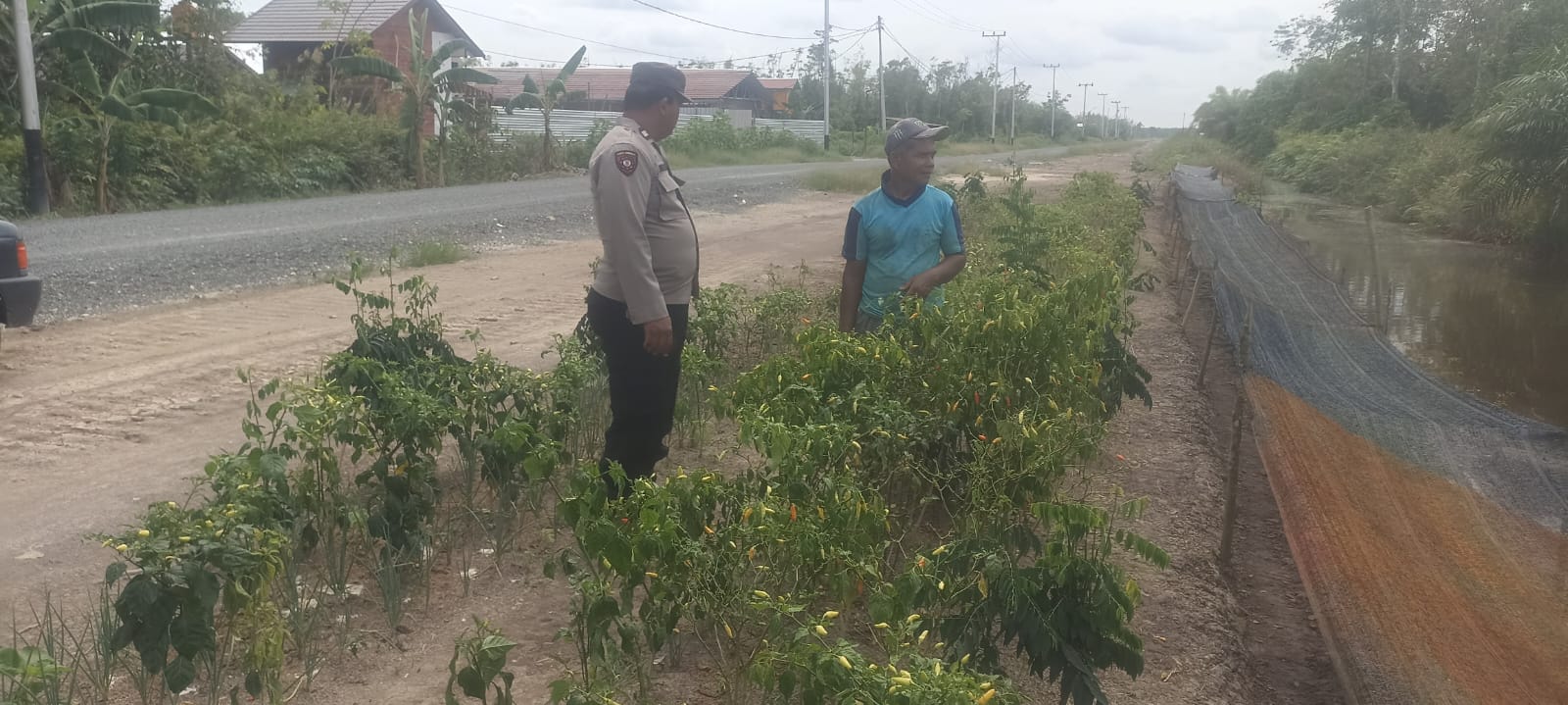 Polsek Basarang Dukung Ketahanan Pangan Untuk Program Makan Bergizi
